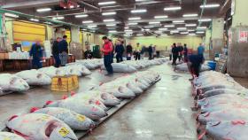 Япония продолжит переговоры с РФ о возобновлении морского промысла